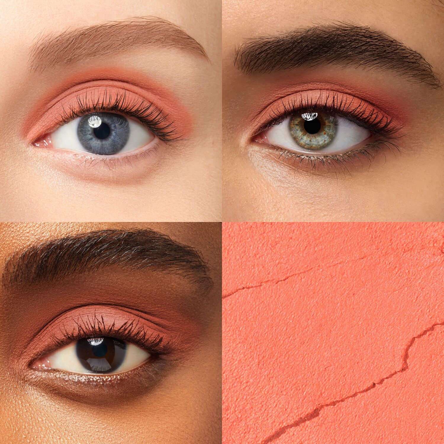 Neutral To Bold 12 piece