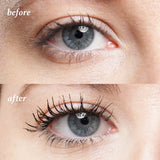 Back to Basics 4PC Eye Makeup Set