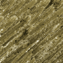 Golden Olive Shimmer