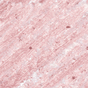 Rose Pink Shimmer